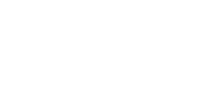 pebblefina logo